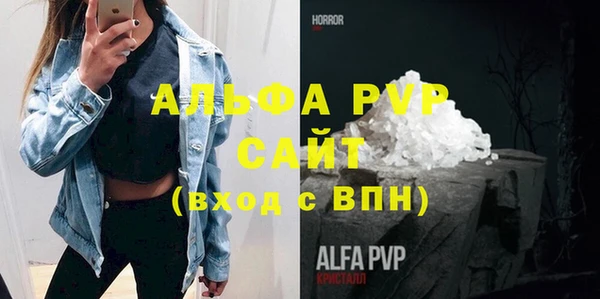 стаф Алзамай