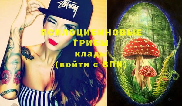 стаф Алзамай